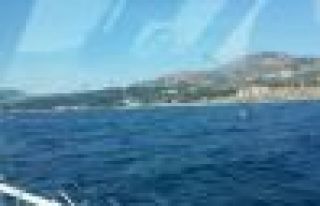 'Kürtlerin siyasi iradesi ve yüreği burada rehin'