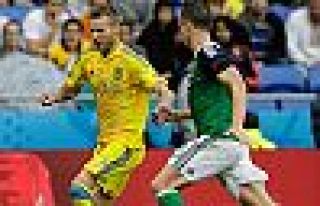 Kuzey İrlanda, Ukrayna'yı 2-0 mağlup etti