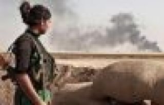 Li Kobanê 11 gund hatin rizgar kirin 