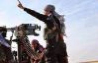 Li Til Temir 4 çete hatin kuştin