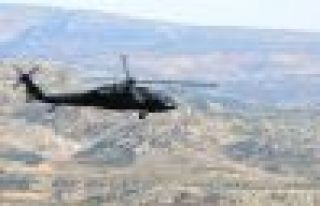 Lice kırsalında hava destekli operasyon