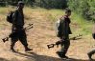 'Lice saldırısını PKK yapmadı'