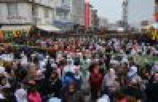 Lice ve Büyükçiftlik'te 8 Mart şölenle kutlandı