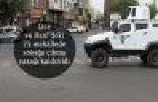 Lice ve Hani'deki 25 mahallede sokağa çıkma yasağı...