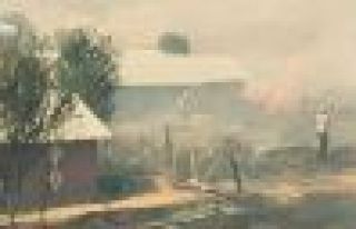 Lice'deki yangın kontrol altında alındı