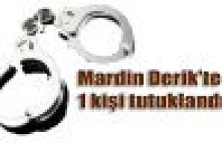 Mardin Derik'te 1 kişi tutuklandı