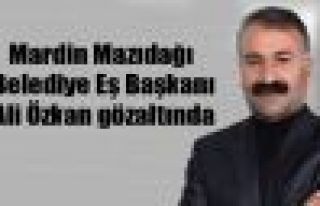 Mardin Mazıdağı Belediye Eş Başkanı gözaltında