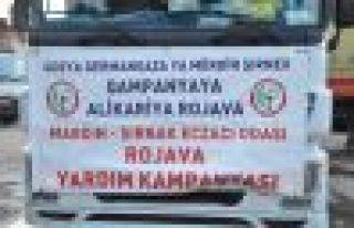 Mardin Şırnak Eczacılar Odası'ndan Rojava'ya ilaç...