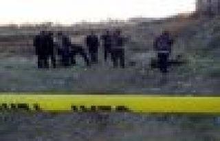 Mardin'de 2 erkek cesedi bulundu
