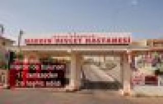 Mardin'de bulunan 17 cenazeden 2'si teşhis edildi