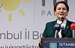 Meral Akşener 100 bin imzayla Cumhurbaşkanı adayı