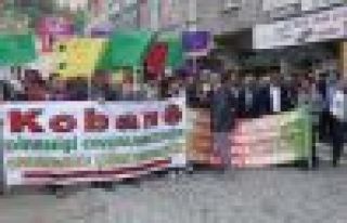 Mersin, Bitlis ve Antalya'da Kobani eylemleri