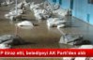 MHP İtiraz Etti Belediyeyi AK Parti'den Aldı