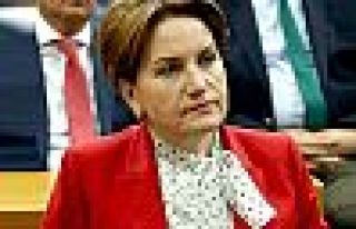 MHP'de Akşener'in partisi için 625 istifa