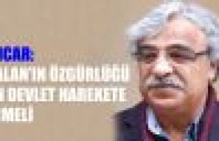 Mithat Sancar: 'Öcalan'ın özgürlüğü için devlet...