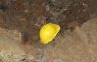 Muğla'da bir maden işçisi yaşamını yitirdi