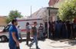 Muş'ta Ot Yüzünden Çıkan Kavgada 2 Kardeş Öldürüldü