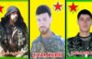 Nasnameya 3 şervanên YPG’ê hate eşkerekirin