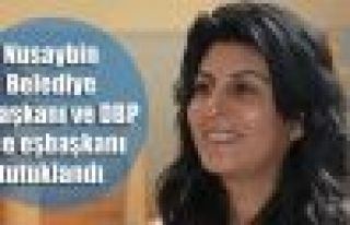 Nusaybin Belediye Eşbaşkanı tutuklandı