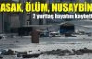 Nusaybin'de 2 kişi hayatını kaybetti