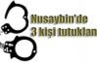 Nusaybin'de 3 kişi tutuklandı