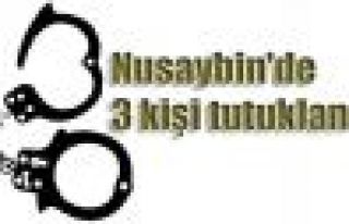 Nusaybin'de 3 kişi tutuklandı