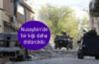 Nusaybin'de bir kişi öldürüldü