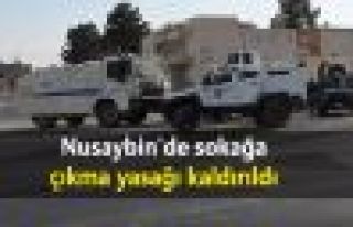 Nusaybin'de sokağa çıkma yasağı kaldırıldı