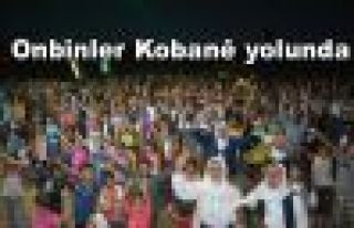 Onbinler Kobane yolunda