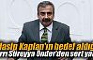 Önder'den Kaplan'a cevap: İlkel milliyetçilik insanı...
