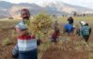 Ovacık Belediyesi'den Hopa'ya yardım