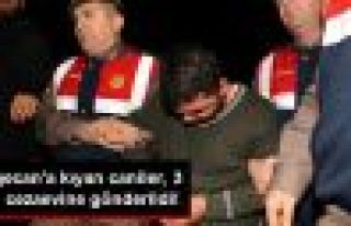 Özgecan'ın cinayet zanlıları tutuklandı