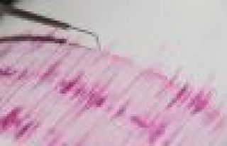 Papua Yeni Gine açıklarında 7.7 şiddetinde deprem