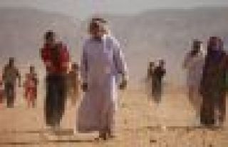 Pasaport zulmü sürüyor; IŞİD'e serbest Ezidi’ye...