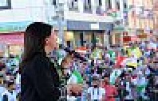 Pervin Buldan: 'Bingöl, Zaza Demirtaş'la olcak' 