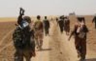 'Peşmerge ile tek ordu gibi hareket ediyoruz'