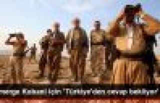 Peşmerge Kobani için 'Türkiye'den cevap bekliyor'