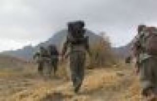 PKK 4 İşçiyi serbest bıraktı