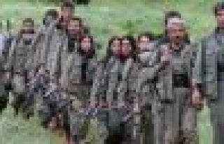 PKK: Artık üç kişilik İmralı ziyaretleri yeterli...