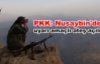 PKK: Nusaybin'de uyarı amaçlı ateş açıldı