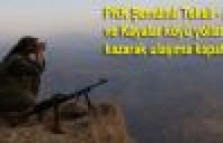 PKK Şemdinli Tekeli - Alan ve Kayalar köyü yollarını...