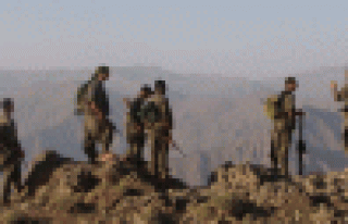 PKK'liler Pervari'de şantiye bastı