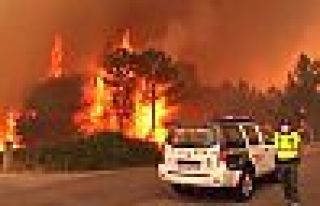 Portekiz’de yangın: 43 kişi öldü, köyler tahliye...