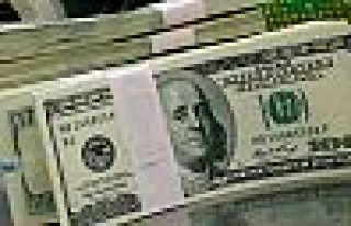 Referandumla dolar 3.51 seviyesinde