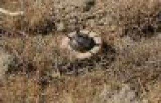 Rojava'da mayına basan 7 kişi hayatını kaybetti