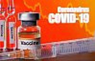 Rusya Savunma Bakanlığı: Covid-19 aşısı hazır