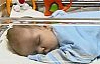 Rusya’da bir köpek –21 derecede çocuğu donmaktan...