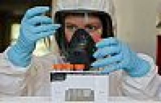 Rusya'dan Batı'ya tepki: Aşımız güvenli