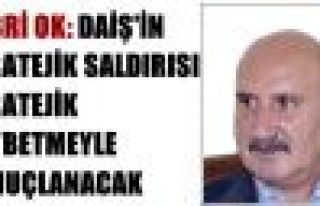 Sabri Ok: DAİŞ'in stratejik saldırısı stratejik...