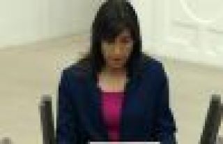 Şahin: Dersim halkı, köylerini ve yaylalarını...